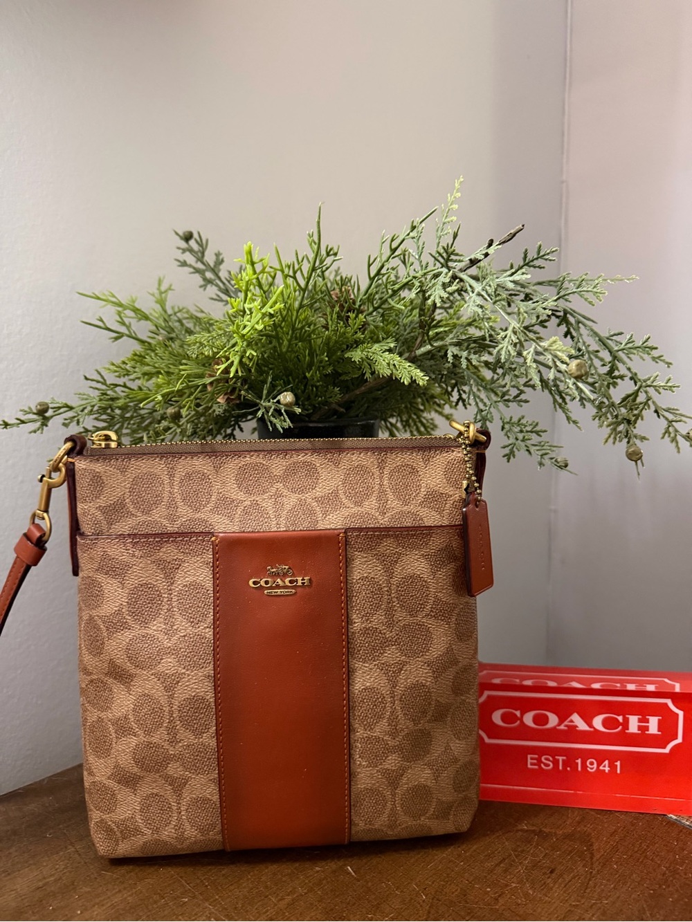 Coach Kitt Messenger Crossbody Bag